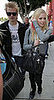 Is Celeb Pregnancy Everybody's Business?
