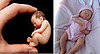Camille Allen Baby Art
