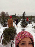 getting our Christmas tree