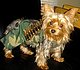 Xena's picture