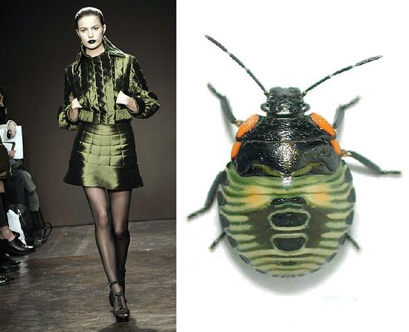 Trend de la Creme For Coutorture: Entomological Comparisons Trend de la Creme For Coutorture: Entomological Comparisons