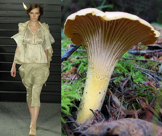Trend de la Creme For Coutorture:  Wild Growth