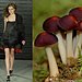 Trend de la Creme For Coutorture:  Wild Growth