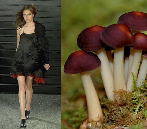 Trend de la Creme For Coutorture: Wild Growth Trend de la Creme For Coutorture: Wild Growth