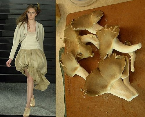 Trend de la Creme For Coutorture: Wild Growth Trend de la Creme For Coutorture: Wild Growth
