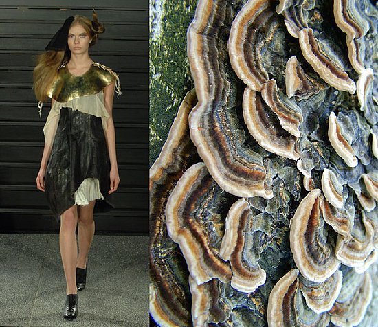 Trend de la Creme For Coutorture:  Wild Growth