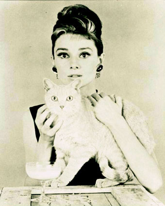 Audrey: My Idol