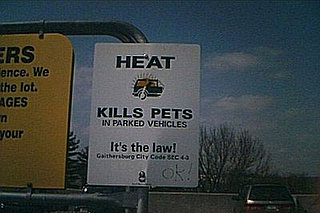 "It's the Law!"