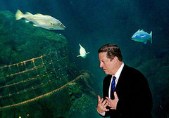  Weather Channel Founder Wants to Sue Al Gore