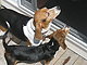 michelle761 michelle761