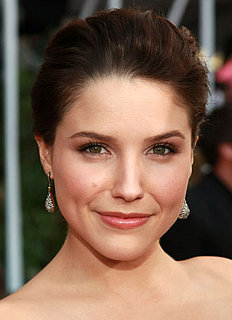 Love It or Hate It? Sophia Bush's SAG Look