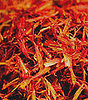 Tibetan Chrysanthemum