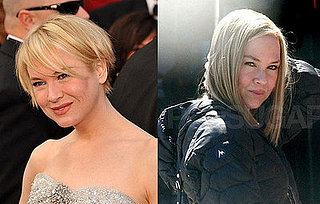 Renee Zellweger's hair: short and long pictures