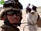 Marines Outraged by Puppy-Throwing Video