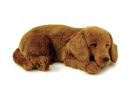 Perfect Petzzz: Dachshund Perfect Petzzz: Dachshund