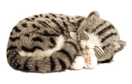 Perfect Petzzz: Gray Tabby Perfect Petzzz: Gray Tabby