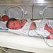 New Babies & Family Names