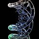 BioMom BioMom