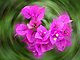 personalityplus personalityplus