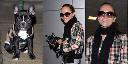 Penelope's Christina Ricci and Her Cute Puppy Ramon Arrive in New York