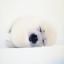 fluffygrrrl