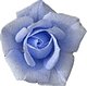 claresparkle claresparkle