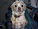 HelloMonkey's picture