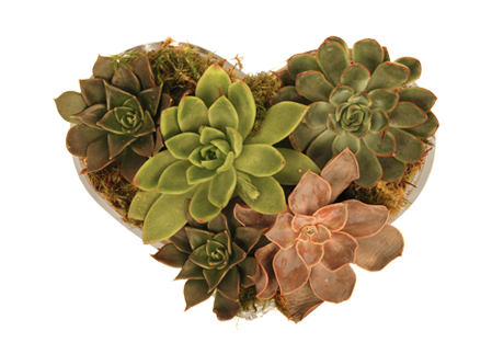Crave Worthy: Jayson Home & Garden Echeveria Heart