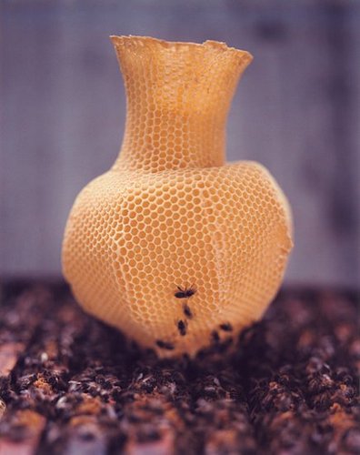 Coolest Idea: Honeycomb Vase