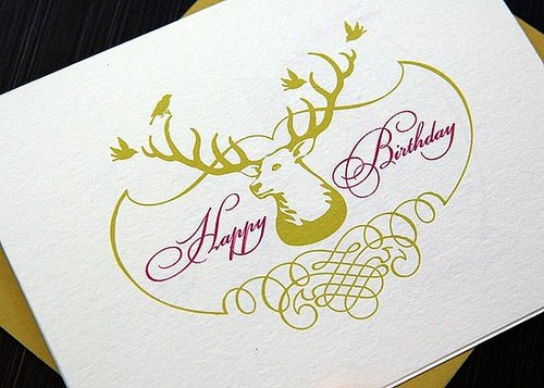 The Card Shop: Turtle Papers Happy Birthday Deer Card Set