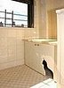 Cool Idea: A Kitty Litter Cabinet