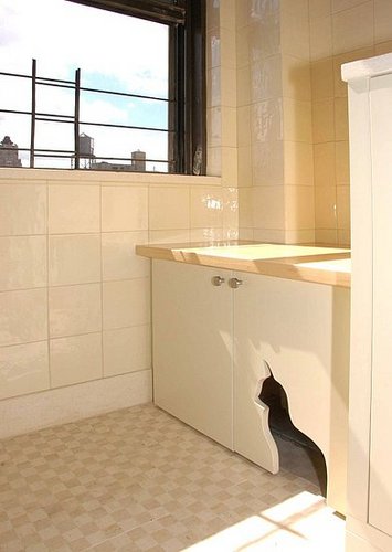 Cool Idea: A Kitty Litter Cabinet