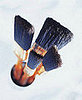 Casa Quickie:  Dual-Purpose Paint Brush