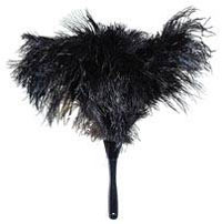 Casa Quickie: Ditch the Feather Duster?