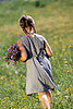 Native Plants