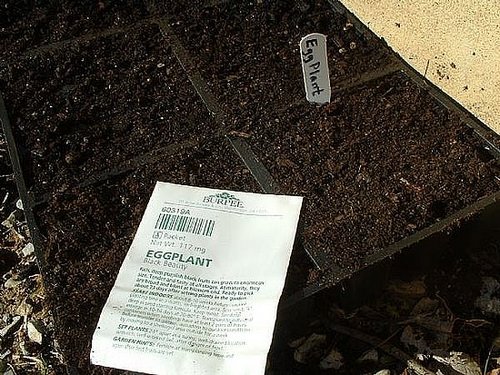 How-To: Planting Seeds