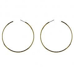Gold Coloured Hoop Earrings (£8)