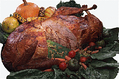 TURDUCKEN!!!!!!!!????? ARE WE CLUCKIN?????