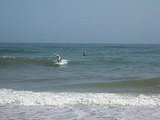Sunday July, 22 2008: East Hampton, NY