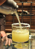 Salty Dog Salty Dog