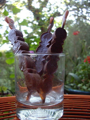 Mexican Hot Chocolate Popsicles