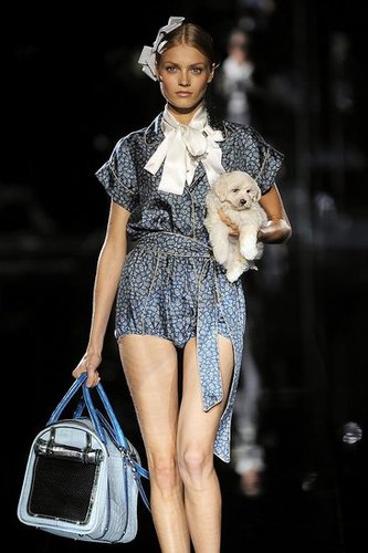Dolce & Gabbana Dolce & Gabbana