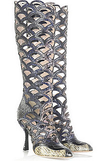 Miu Miu Python Cut Out Boots: Love It or Hate It?