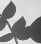 Come Party With Me: Black and White Luau — Invite