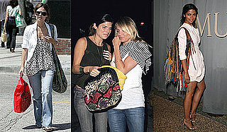 Rachel Bilson, Lake Bell, and Camila Alves Carrying Exotic Handbags