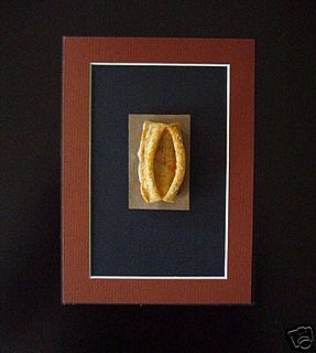 eBay Find of the Day: Vajayjay Sun Chip