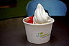 SoGreen Frozen Yogurt: Heir to Pinkberry?