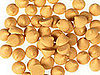 Butterscotch