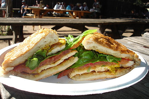 Sunny Chicken Sandwich Sunny Chicken Sandwich