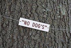 This Tree Belongs to No Dog!